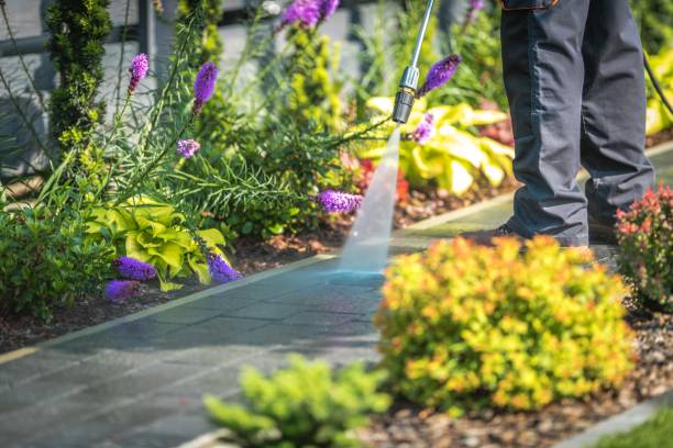 Best Gutter Cleaning and Brightening in Allardt, TN