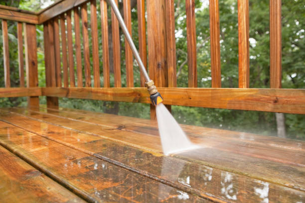 Best Fence Cleaning and Maintenance in Allardt, TN